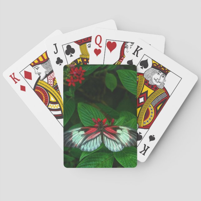 Poker Spielkarten (Rückseite)