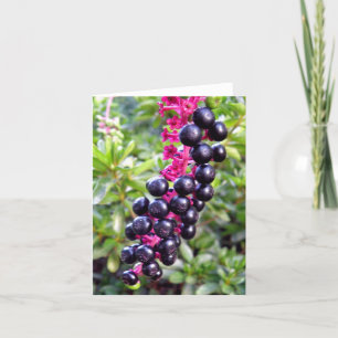 Pokeweed-Anmerkungs-Karte Karte