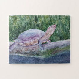 Pokey Turtle