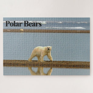 Polaire Bear Stroll Jigsaw Puzzle