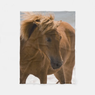 Polaire Belle couverture Brown d'ouatine de cheval