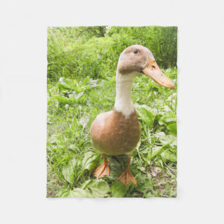 Polaire Belle couverture d'ouatine de canard de coureur