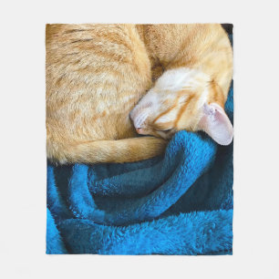 Polaire Chat orange recouvert d'une couverture bleue