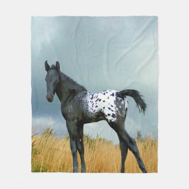 Polaire Cheval - couverture d'ouatine de colt d'Appaloosa (Devant)