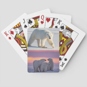 Polaire concerne une plate-forme des cartes de jeu