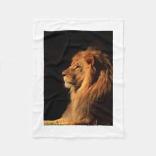Polaire Couverture africaine dramatique d'ouatine de