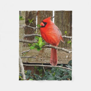 Polaire couverture cardinale d'ouatine