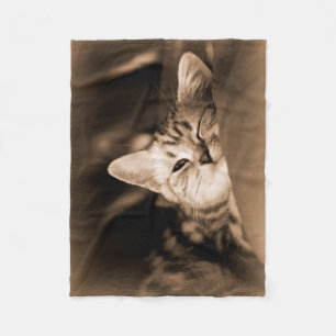Polaire couverture de chat