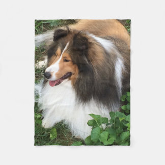 Polaire Couverture de chien de berger de Shetland