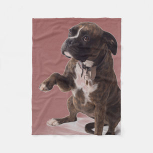 Polaire Couverture de chien de boxeur