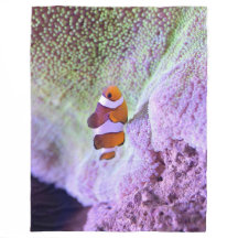 Couverture de la flotte de poisson