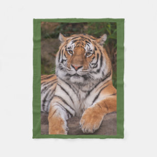Polaire Couverture de repos dramatique d'ouatine de tigre