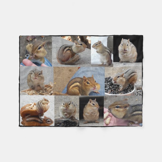 Polaire Couverture de tamia d'ouatine avec 11 Chipmunks. (Devant (Horizontal))