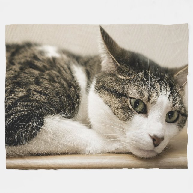 Polaire Couverture d'ouatine d'amoureux de les chats (Devant (Horizontal))