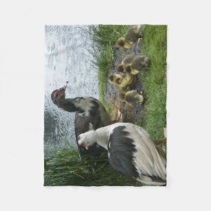 Polaire Couverture d'ouatine de canards et de canetons de
