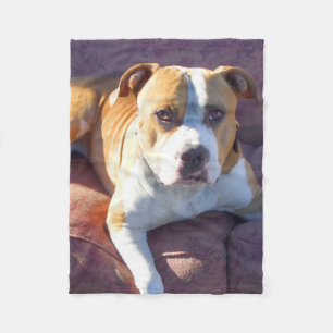 Polaire Couverture d'ouatine de chien de Pitbull