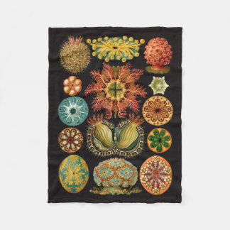Polaire Couverture d'ouatine de Haeckel