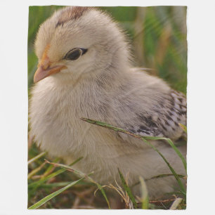 Polaire Couverture d'ouatine de poussin de bébé