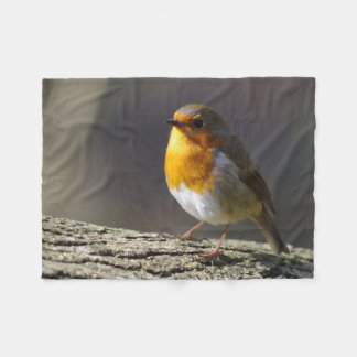 Polaire Couverture d'ouatine de Robin