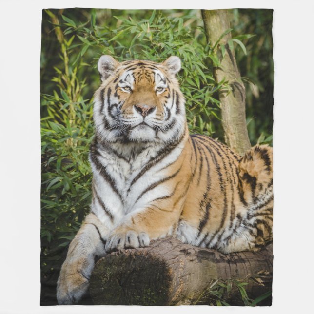 Polaire Couverture d'ouatine de tigre (Devant)