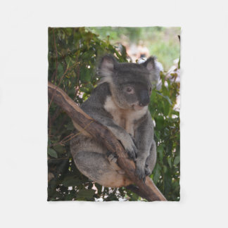 Polaire Couverture douce d'ouatine d'ours de koala