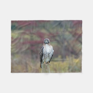 Polaire Couverture en fusées Hawk