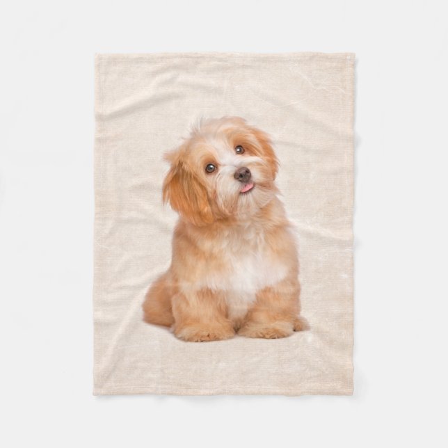 Polaire Couverture mignonne d'ouatine de chiot de Havanese (Devant)