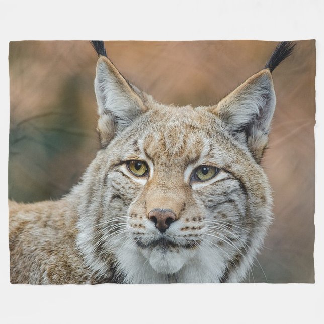 Polaire Couverture sauvage d'ouatine de chat de Lynx (Devant (Horizontal))