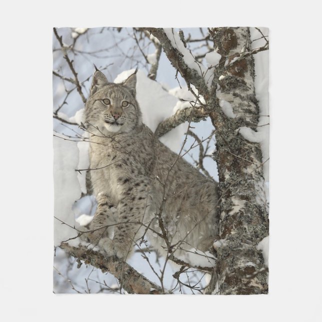 Polaire Couverture sauvage d'ouatine de chat de Lynx (Devant)