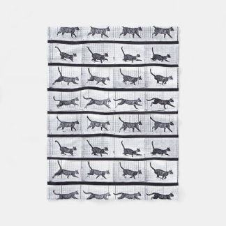 Polaire EADWEARD MUYBRIDGE : Chat marchant - couverture