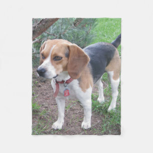 Polaire Jeune couverture mignonne d'ouatine de beagle