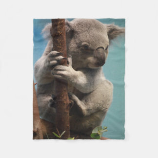 Polaire Koala adorable se tenant sur la couverture