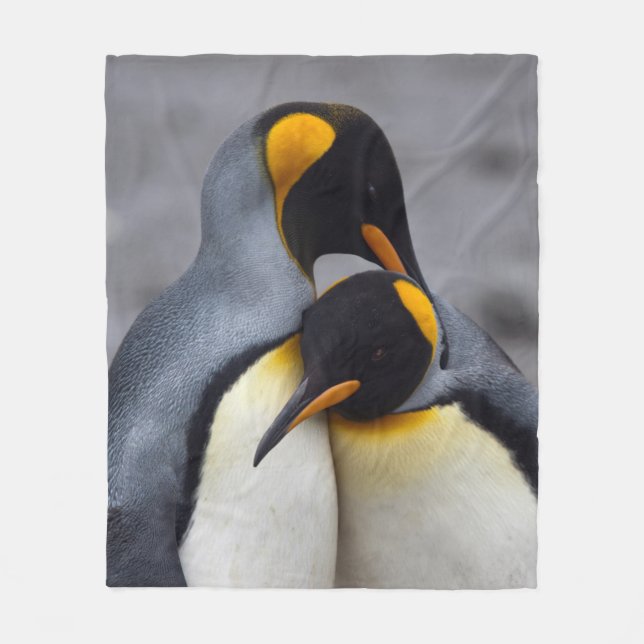 Polaire Le Roi pingouins dans la couverture d'ouatine (Devant)