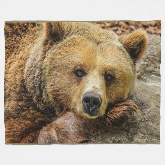 Polaire L'ours gris Brown concernent la couverture (Devant (Horizontal))