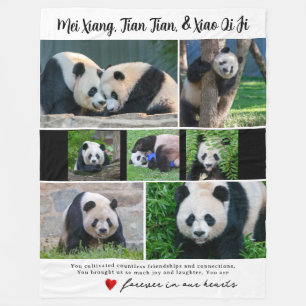 Polaire Pandas géantes DC - Couverture "Dans nos coeurs"