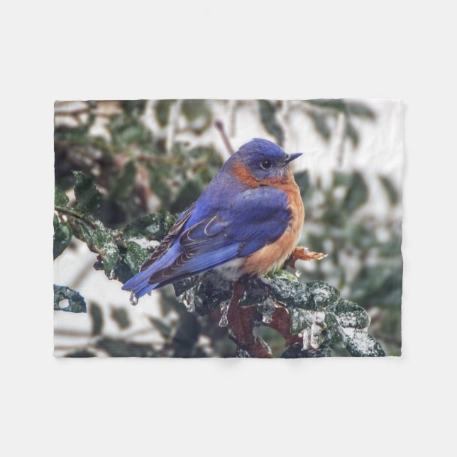 Polaire Petite couverture d'ouatine d'oiseau bleu oriental (Devant (Horizontal))