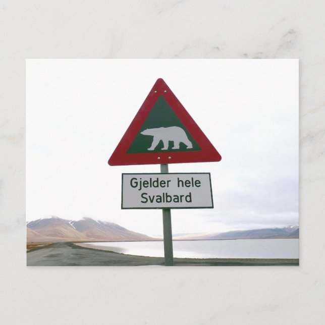 Polar-Bär-Verkehrszeichen Postkarte (Vorderseite)