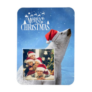 Polar-Bär-Weihnachts-Foto-Magnetkarte Magnet