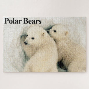 Polar-Bären-Hubs