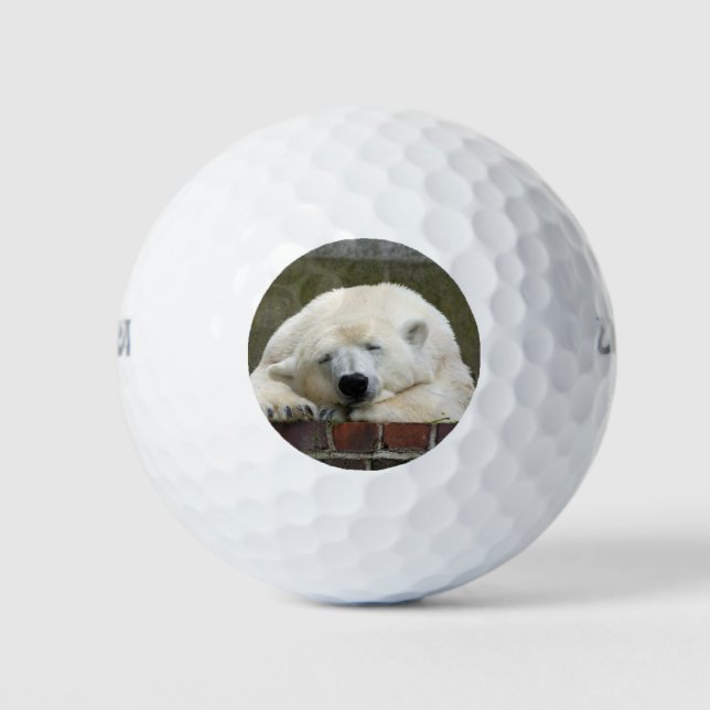Polar_Bear_2015_0301 Golfball (Vorderseite)