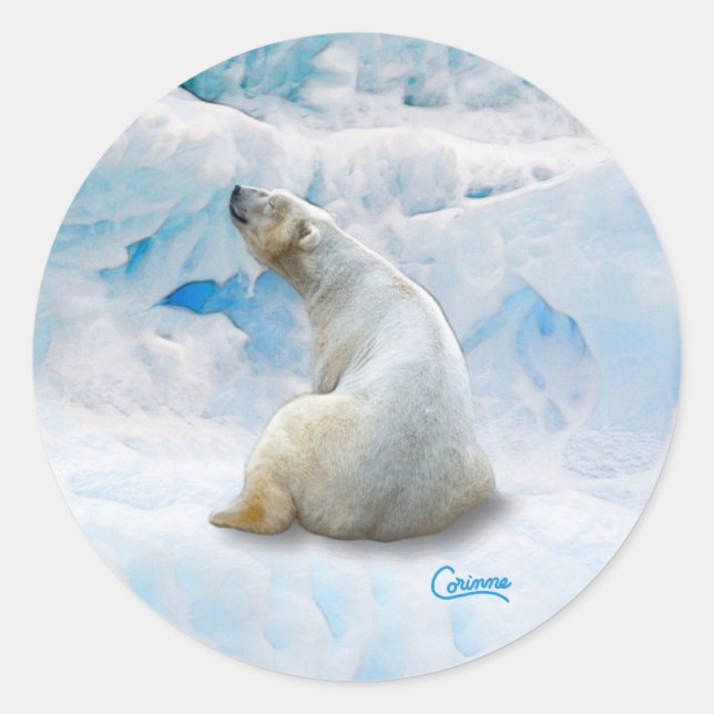 Polar Bear 2 - Aufkleber für den Umschlag (Vorderseite)