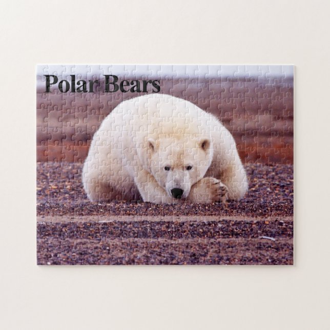 Polar Bear 7 Jigsaw Puzzle (Horizontal)