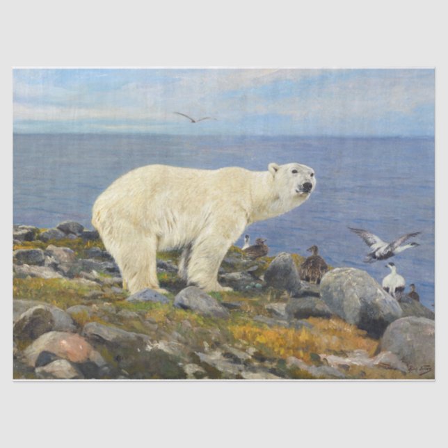 Polar Bear and Eider Encks on Coast by Friese Seidenpapier (Vorderseite)
