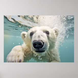 Polar Bear Animal Fun Natlaying Poster