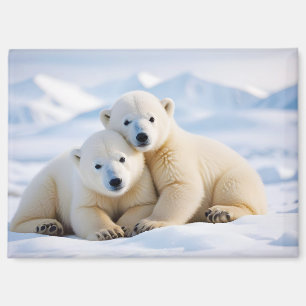 Polar Bear Animal Nature Wildlife Zuneigung Gekümm Magnet