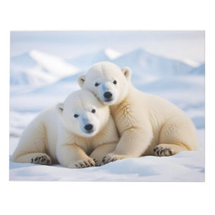 Polar Bear Animal Nature Wildlife Zuneigung Gekümm Notizblock