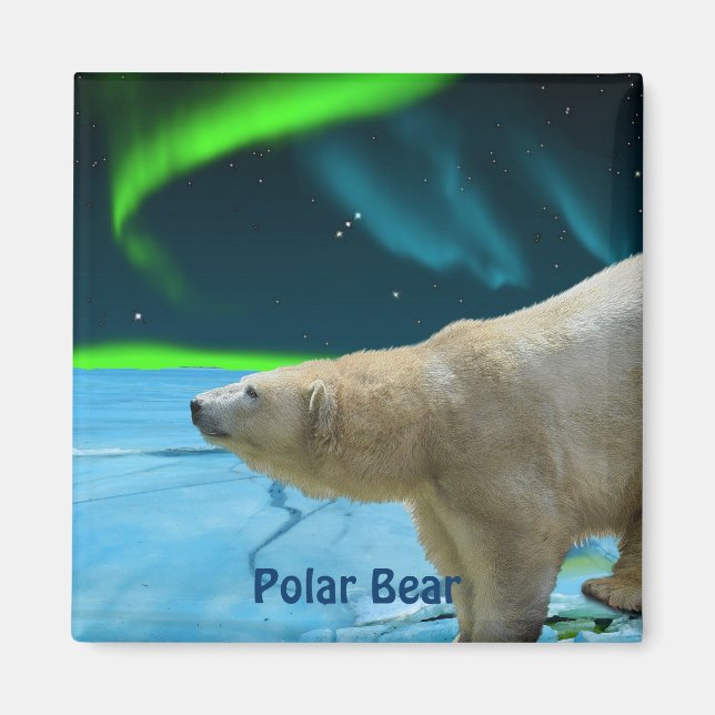 Polar Bear & Aurora Arktis Kunst, Dichtung und Mus Magnet (Vorne)
