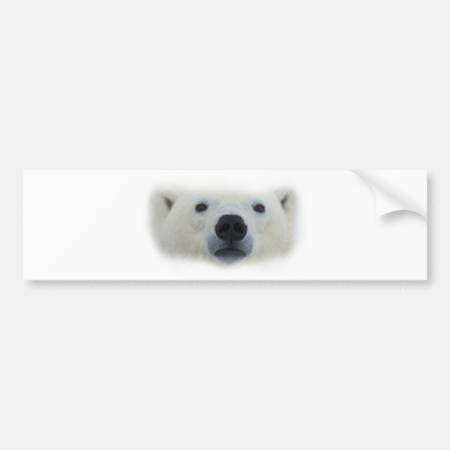 Polar Bear Autoaufkleber (Vorne)