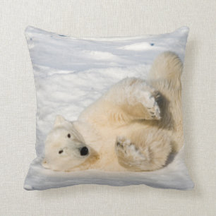Polar Bear bei Hudson Bay Kissen