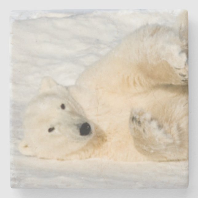 Polar Bear bei Hudson Bay Steinuntersetzer (Vorderseite)